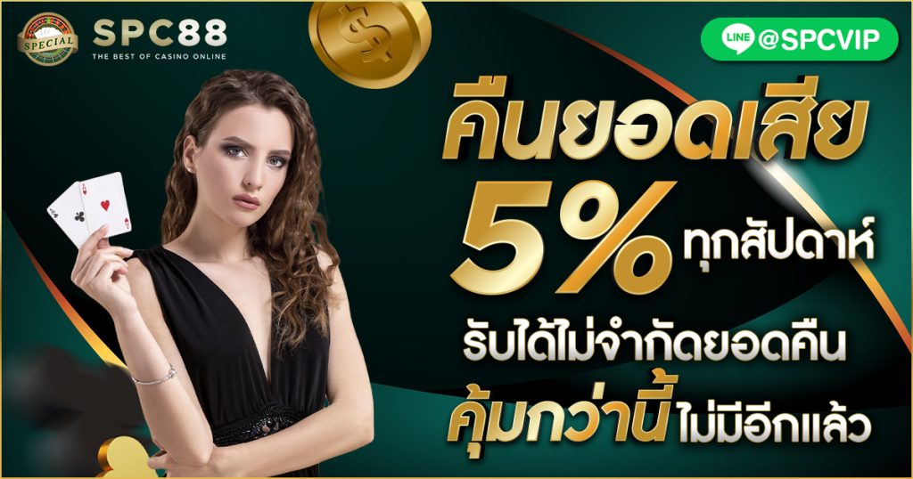 อุปกรณ์ที่ใช้ในการเล่นไฮโลไทยมีอะไรบ้าง